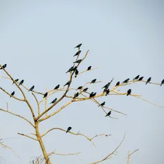 Foto di Yoel Winkler su Unsplash